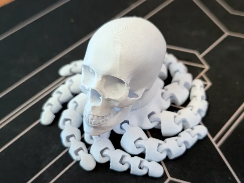 Skull Octopus - Skulltopus or Octoskull ?
