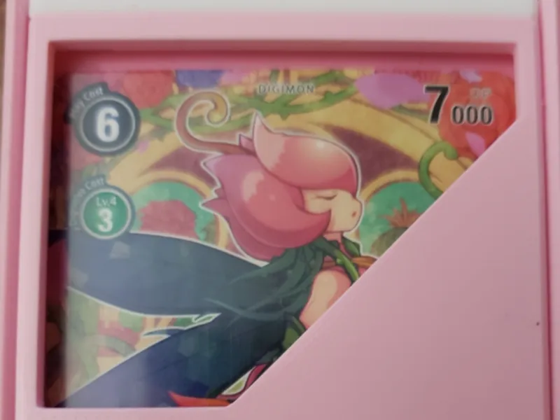 60 Card Deck Box 