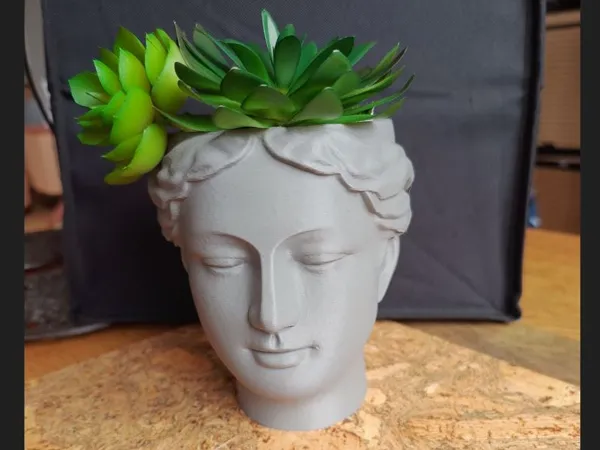 https://makerworld.bblmw.com/makerworld/model/USa598be5666bb24/design/2025-07-11_774b130728e378.jpg