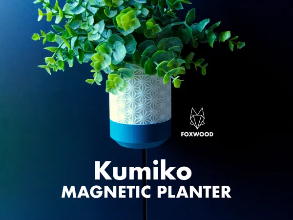 https://makerworld.bblmw.com/makerworld/model/USa59d417c7733e4/design/2024-07-24_4ed0649d91b038.jpg