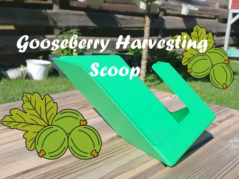 Gooseberry Harvesting Scoop