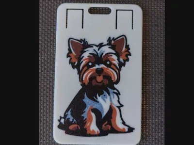 Badge yorkshire terrier