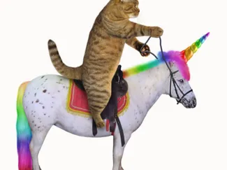 UniCat