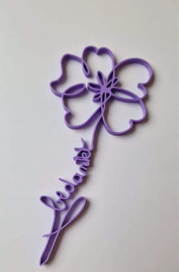 https://makerworld.bblmw.com/makerworld/model/USa5b059ccfe2b29/design/2024-12-13_7c1fe780f0574.jpg