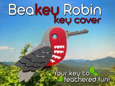Beakey Robin Key Cover 