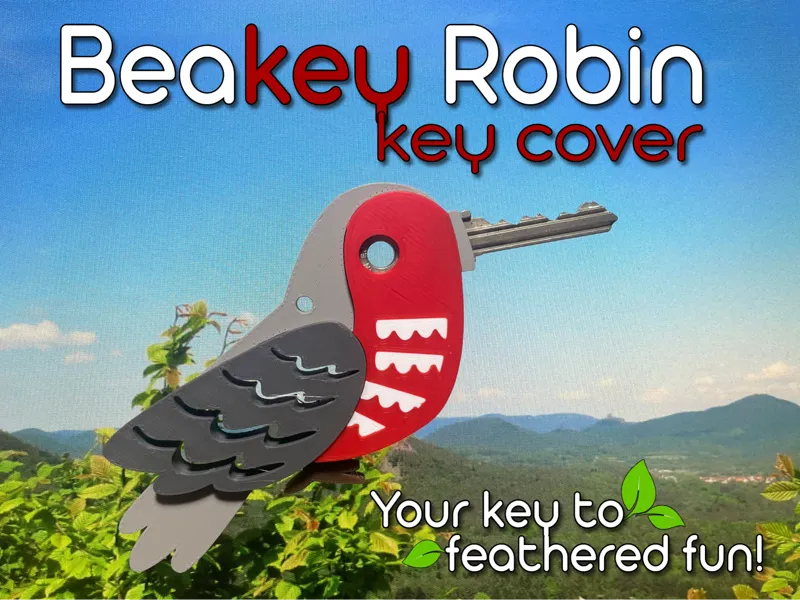 Beakey Robin Key Cover 