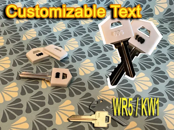 https://makerworld.bblmw.com/makerworld/model/USa5b308350f118f/design/2024-06-22_8bf45bb2acc63.png