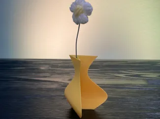 Odd Shaped Vase