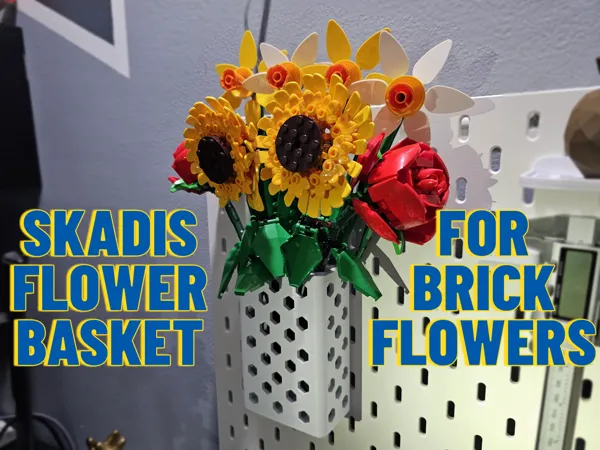 https://makerworld.bblmw.com/makerworld/model/USa5b5051cf4d74/design/2025-01-20_a1f4943fbddd8.jpg
