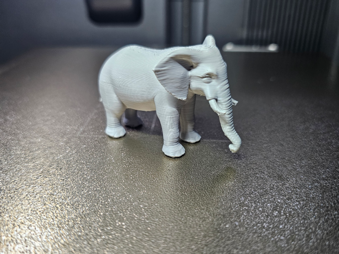 Elefant - Tiere aus aller Welt