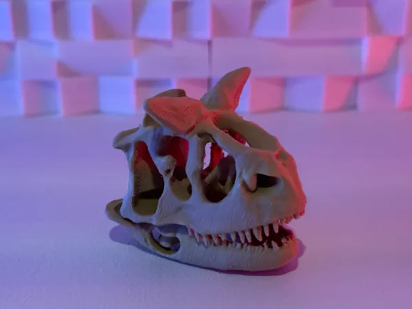 https://makerworld.bblmw.com/makerworld/model/USa5bd13c4dd9cb8/design/2025-07-04_36dda8fa489a6.jpeg