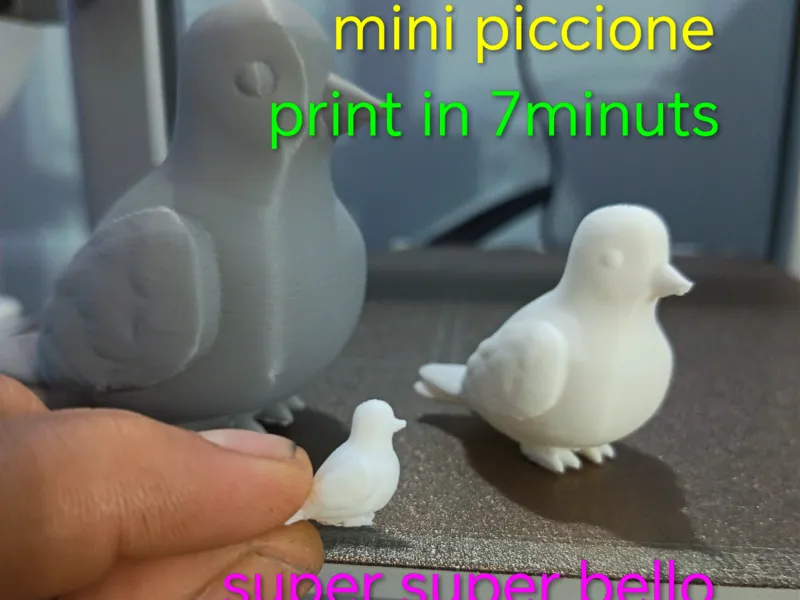 mini piccione (varie versioni di grandeza)
