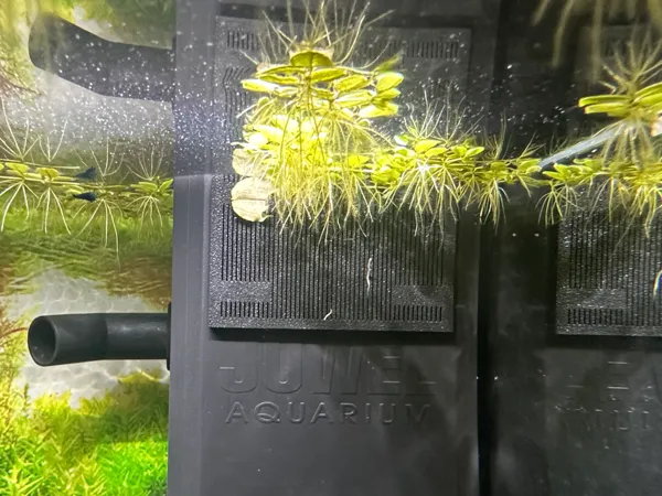 https://makerworld.bblmw.com/makerworld/model/USa5c1c712fdce4e/design/bddb5e5bc17ff6e8.jpg