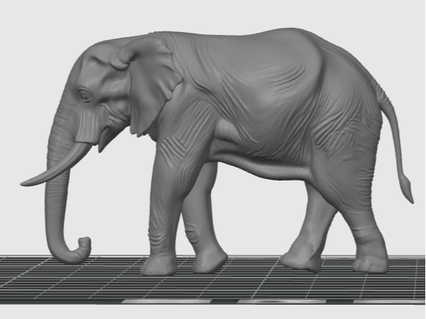 Realistic African Elephant – Decorative