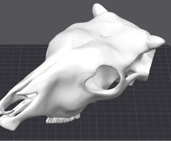 https://makerworld.bblmw.com/makerworld/model/USa5c6474c12e34e/design/2024-08-01_9874815498f6e.jpg