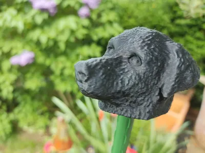 Cane Safety Caps