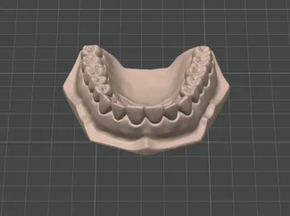 Modello dentale da studio arcata superiore