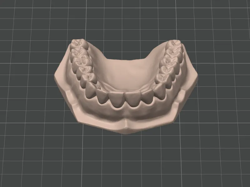 Modello dentale da studio arcata superiore