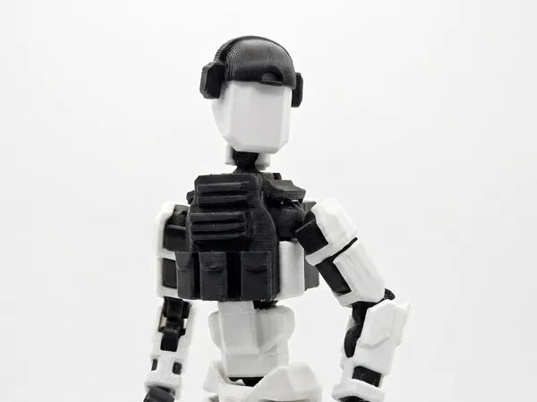https://makerworld.bblmw.com/makerworld/model/USa5c9ea27211e32/design/b1a45d97c48d3968.png