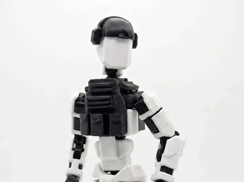 Dummy 13 Body Armor (Ballistic Vest)