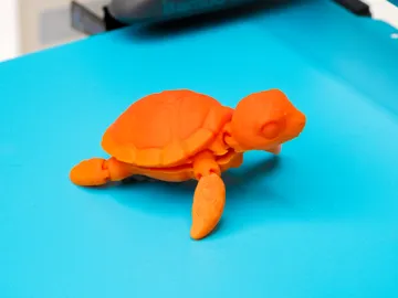 Letrero o emblema decorativo: Flexi Turtle Articulated — vista de referencia 5