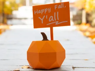 Happy Fall Y'all Pumpkin low poly geometric