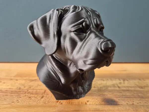 https://makerworld.bblmw.com/makerworld/model/USa5d99188afbcec/design/2025-05-25_bad5464d59b85.jpg