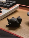 FatCat Adaptive Layer Height