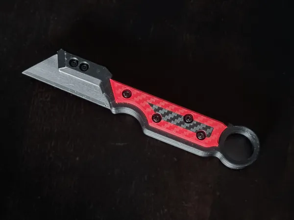https://makerworld.bblmw.com/makerworld/model/USa5e97b069d7dea/design/2025-06-01_931eea868b36.jpg