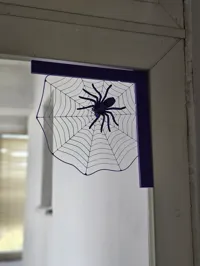 Araignée sur toile — photo 3