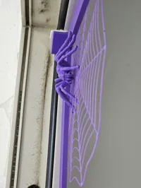 Araignée sur toile — photo 4