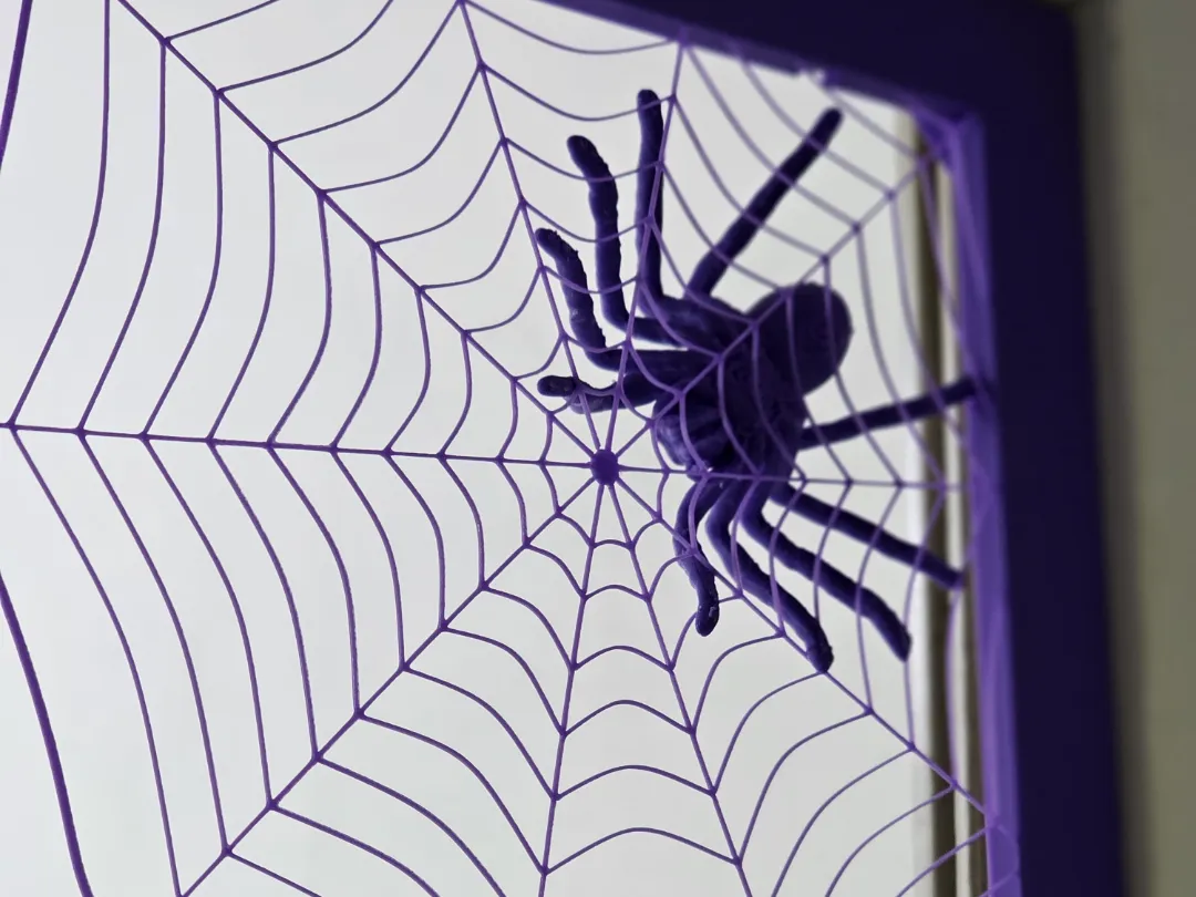 Araignée sur toile
