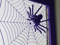 Araignée sur toile — photo 1