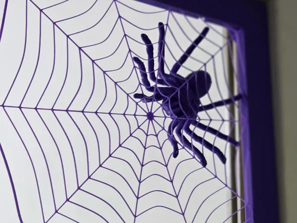 Araignée sur toile