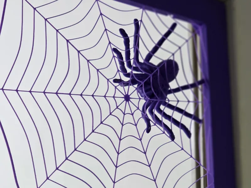 Spider in web