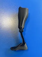 Prothèse de jambe sous le genou fonctionnelle (éducatif) — photo 2