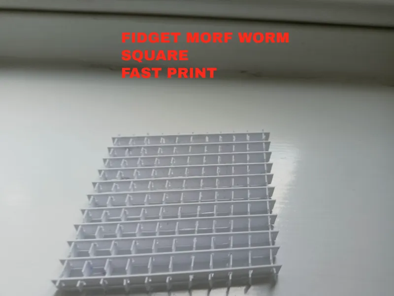 Fidget morf worm square
