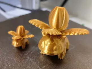 宝可梦 妙蛙种子 妙蛙花