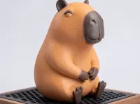 Capybara