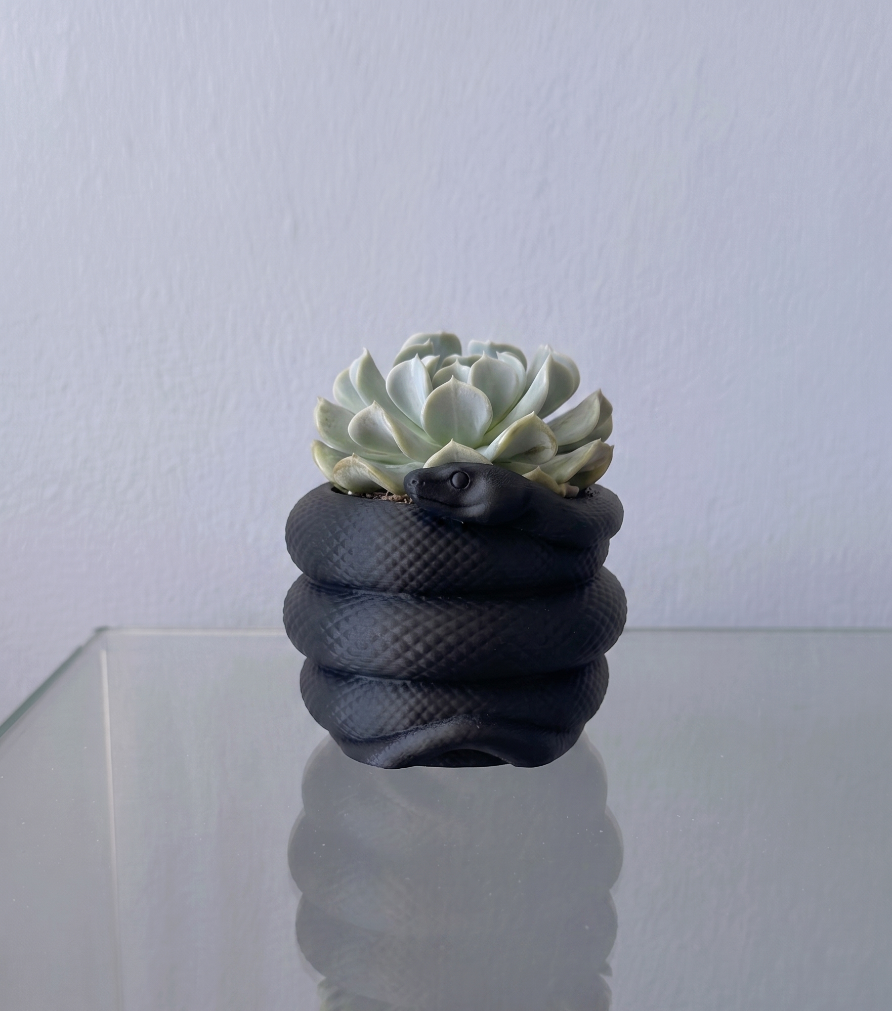 Miniatura 1 do modelo 3D Coiled Snake Planter Pot