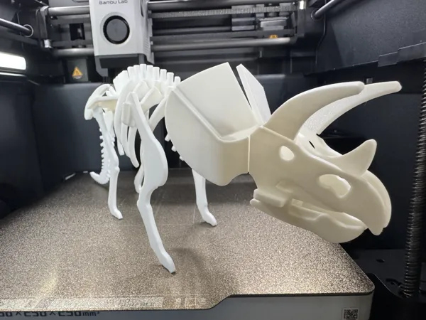 https://makerworld.bblmw.com/makerworld/model/USa605c30c31bb84/design/2025-02-10_4b80f519a90fb.jpg