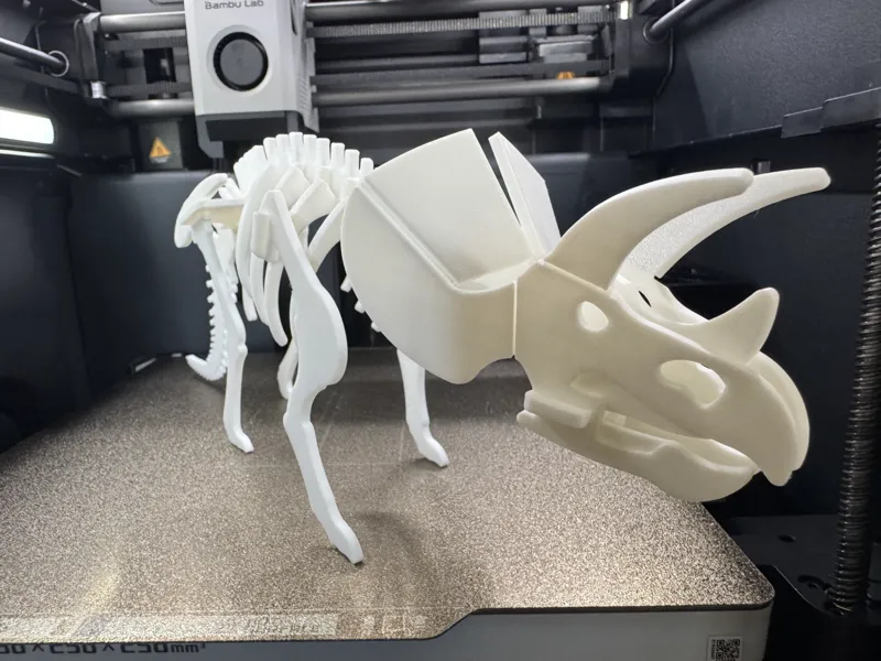 Triceratops Dinosaur Skeleton Puzzle v2