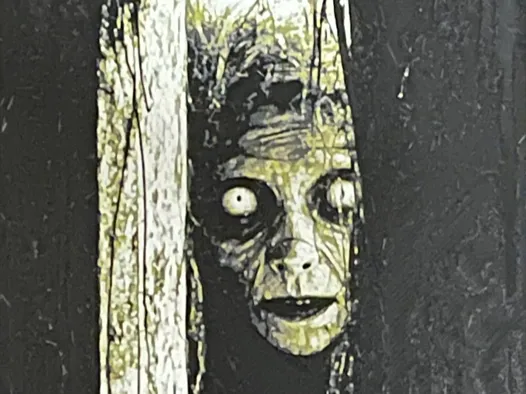 Hag Looking In