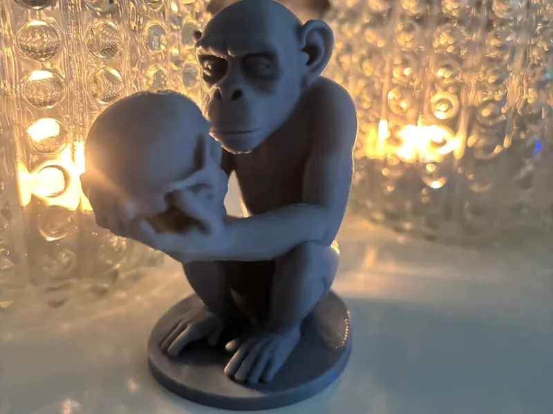 Ape Contemplating Mortality