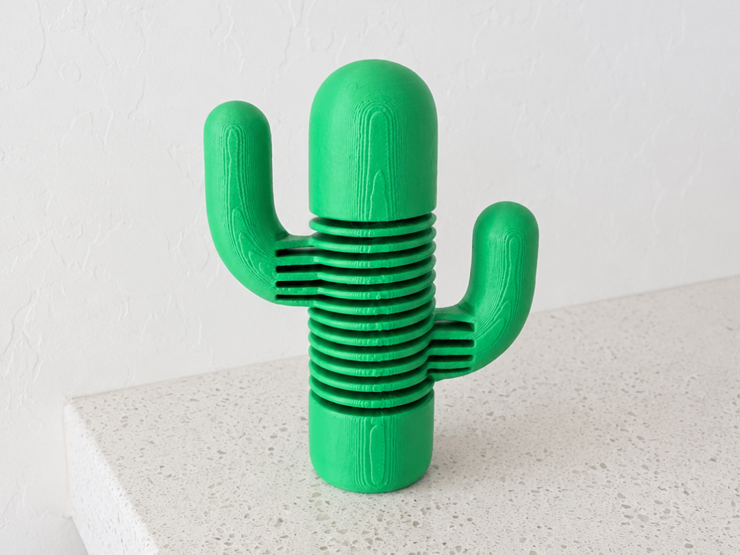 Springy Cactus Toy | Print-in-Place Fidget Toy