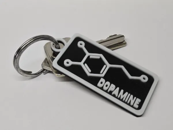 https://makerworld.bblmw.com/makerworld/model/USa617714cdae146/design/2025-03-28_a192de030f08f.jpg