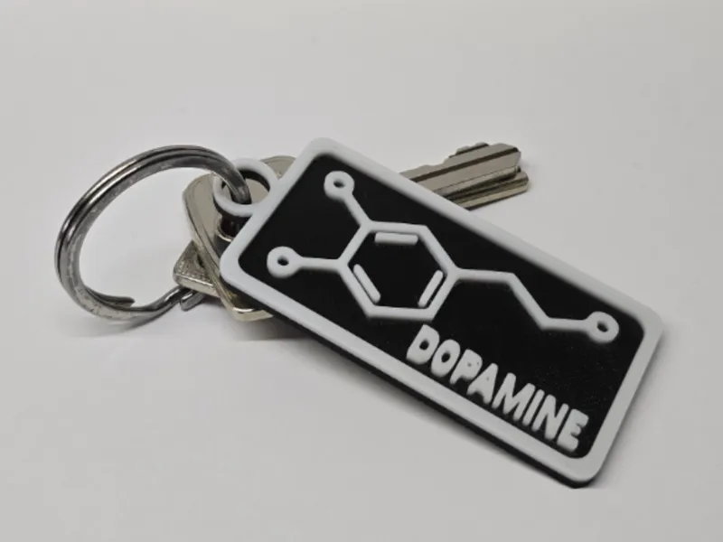 DOPAMINE Keychain - No AMS Needed