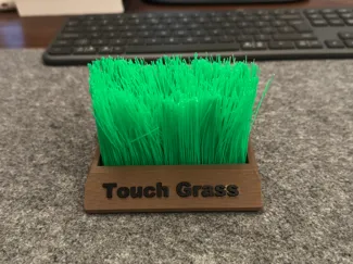 Touch Grass