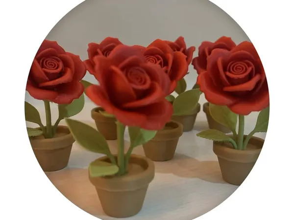 https://makerworld.bblmw.com/makerworld/model/USa61afa706dd785/design/2025-11-11_8d7764980013f.jpg