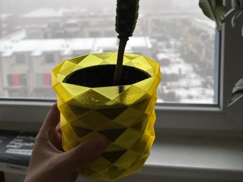 Quick and easy Flower Pot
